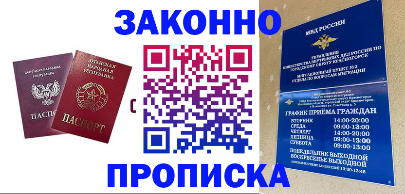 прописка в Кузнецке